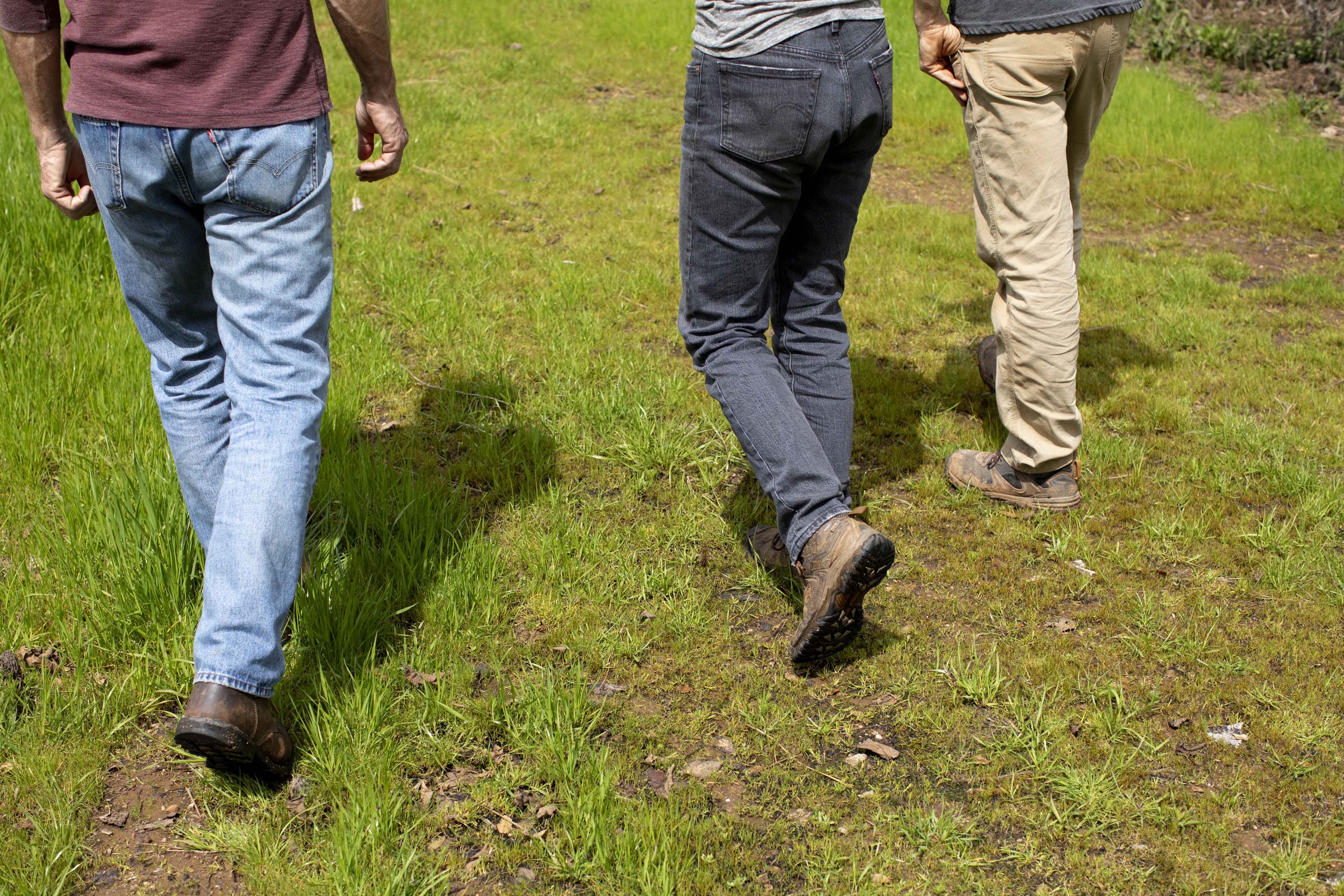 Alan Haight (pictured in red shirt) founded Riverhill Farm just outside Nevada City in 2001. In 2018, he and and his wife and farming partner, Jo McProud, handed farm operations to a younger farmer, Antonio Garza (pictured in dark gray shirt), in a lease agreement that allows Haight and McProud to retire and continue living on the farm. Garza’s partner, Daylin Wade (pictured in light gray shirt), works part time on the farm.